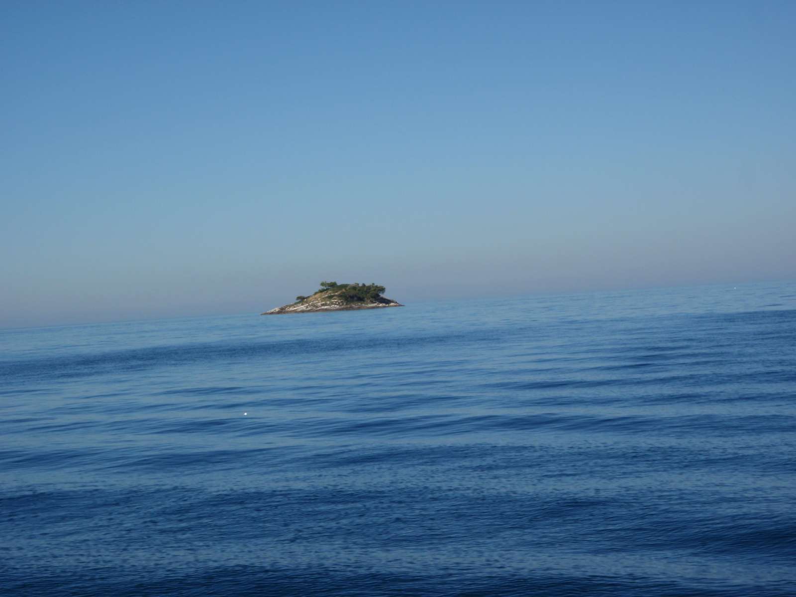 P8220005
