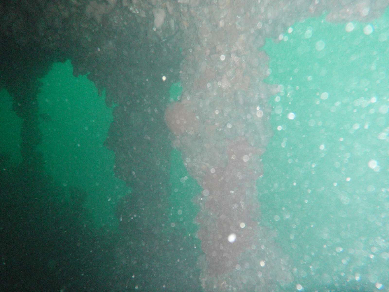 P8220009