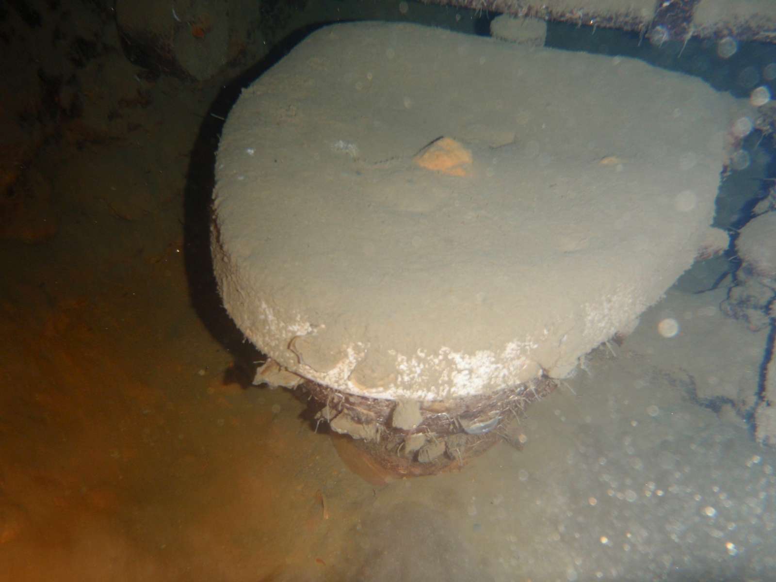 P8220012