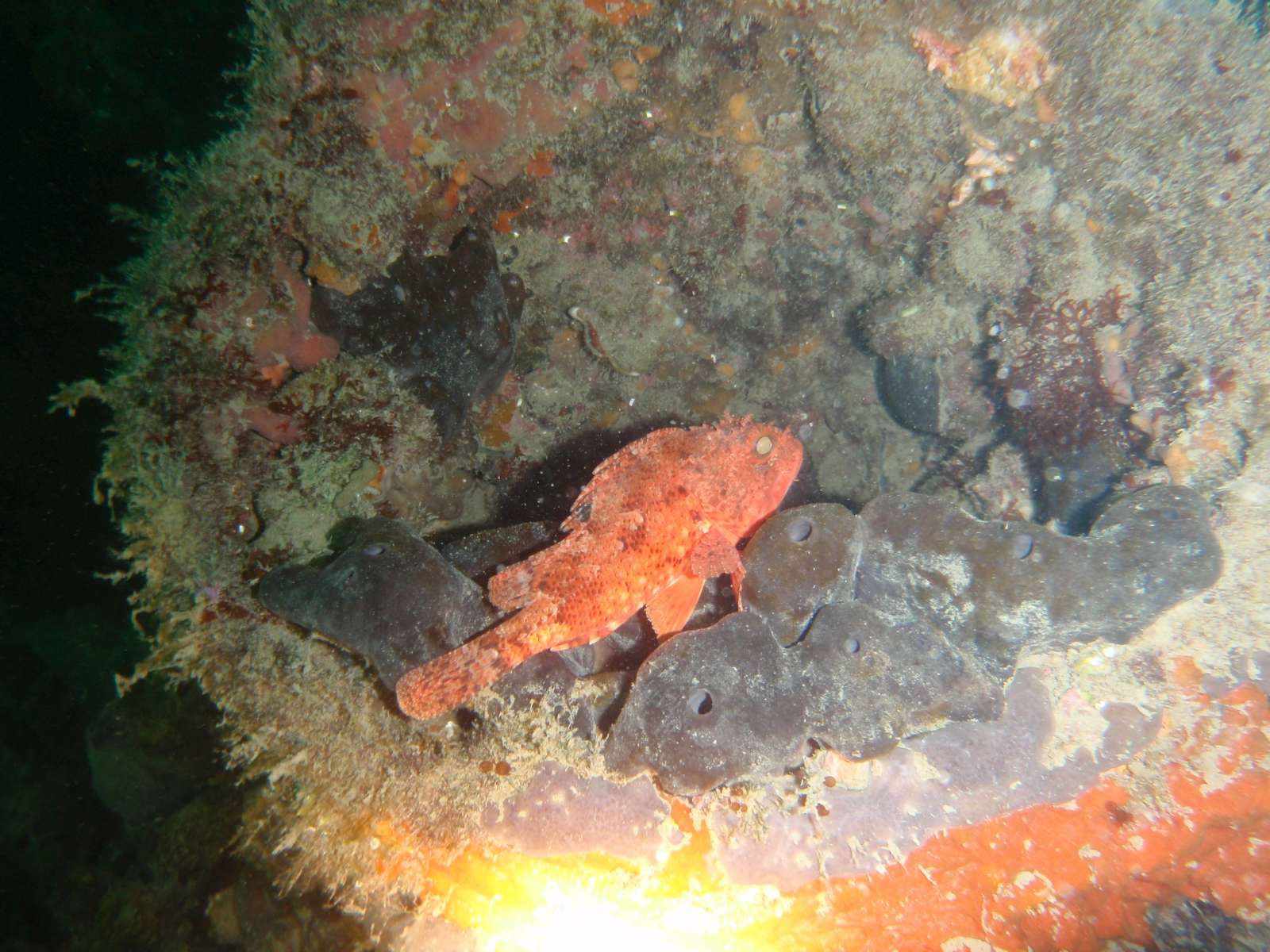 P8220024