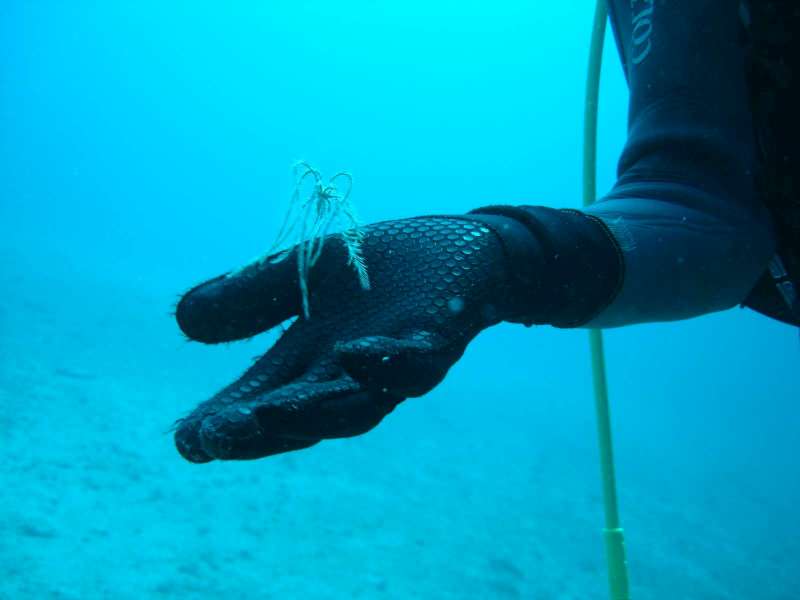 dsc07518