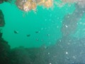 P8220010