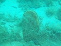 P8140052