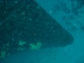 dsc07507