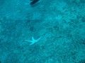 dsc07519