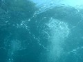 dsc07531