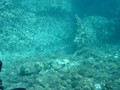dsc07532
