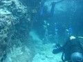 dsc07534