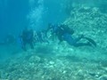 dsc07540