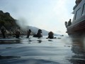 dsc07558