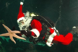 scuba-claus_vancouver-aquarium